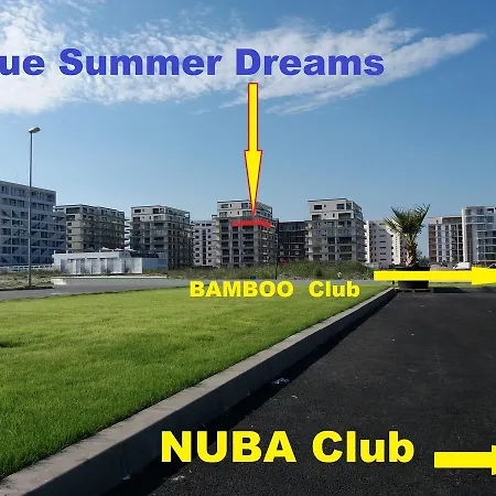 Blue Summer Dreams *
