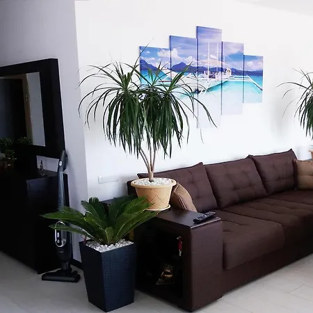 Apartment Blue Summer Dreams