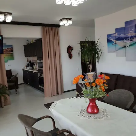 Blue Summer Dreams 公寓 马马亚