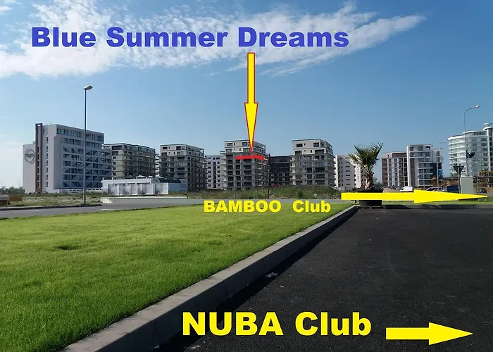 Blue Summer Dreams *